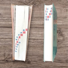 新版 小学生 国語辞典・漢字辞典　2点セット　教育同人社の画像