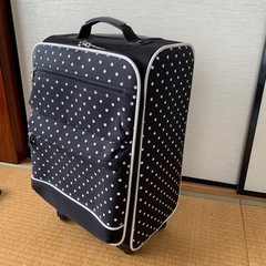 キャリーバッグ　機内持ち込みOK