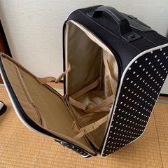 キャリーバッグ　機内持ち込みOKの画像