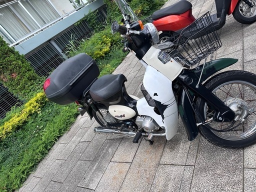 ホンダ リトルカブ C50 【公式通販】