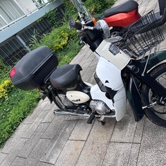 ホンダ　リトルカブ　C50