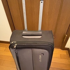 コロコロ　旅行ケース　バックの画像