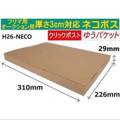 ネコポス対応　箱　100枚