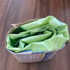グリーンオーシャンプール160 × 113 × 39cmの画像