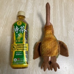 ty Beanie Baby ★ Beak  キウイ　ぬいぐるみ　希少の画像