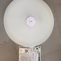 Luminous LEDシーリングライト LS-J506N