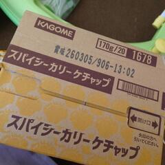 説明欄必読)KAGOMEメーカー20本セットの画像