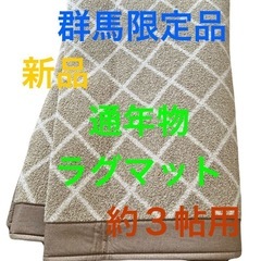 群馬限定《新品》通年物ラグ３帖用