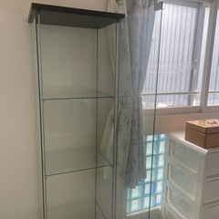 コレクションケース差し上げますの画像