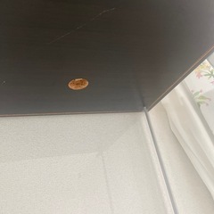 コレクションケース差し上げますの画像