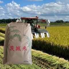 茨城産 お米 いのちの壱 30キロ玄米 農家のお米 