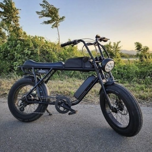 電動アシスト自転車 BRONX BUGGY