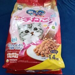 キャットフード　子猫1.4キロ