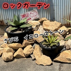 ロックガーデン　ドライガーデン　観葉植物　お洒落　ガーデニング　サビ石　イエローストーン　150〜300サイズの画像