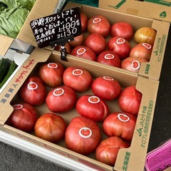 洞爺湖産🍅オロフレトマト3L巨大サイズ✨