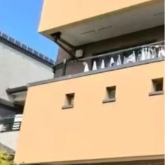 雨樋の修繕