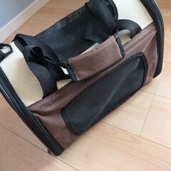 猫　キャリーの画像