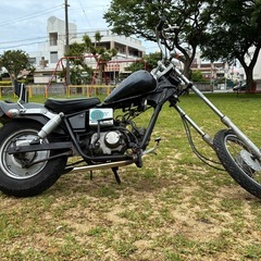ホンダ　jazz50の画像