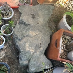 庭石