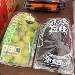 高級シャインマスカット＆種無し巨峰