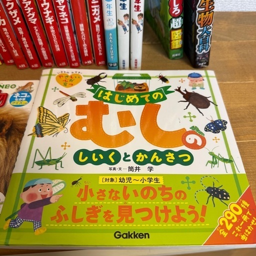 小学生向け本23冊 どっちが強い15巻セット 図鑑 絵本