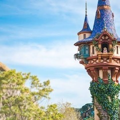 6/7にディズニーシー一緒に行ける方