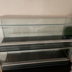 レプタイルケージ