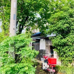草刈りしますよー！