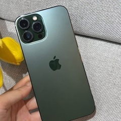 iphone  13 Pro Max 1TB