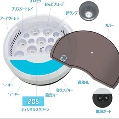 孵卵器　鳥類孵卵器の画像