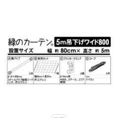 エコ節電に◎半額 グリーンカーテンの画像