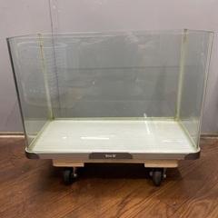 tetra60cmガラス曲面水槽