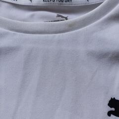 PUMA　白Tシャツ140㎝の画像