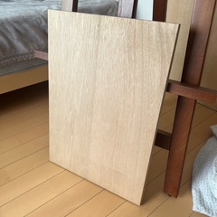 B3 ベニヤパネル