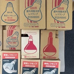 主に　レフランプ　まとめて　ランプ　ライト　屋外　ジャンクの画像