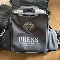 DRESS フローティングベストの画像