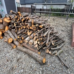 紅葉樹の薪を売りますの画像