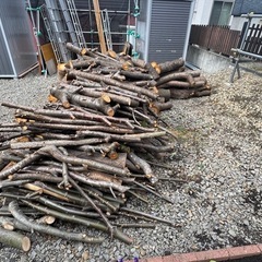 紅葉樹の薪を売りますの画像