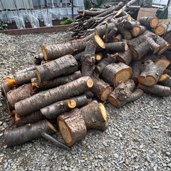 紅葉樹の薪を売ります