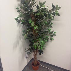 フェイク植物