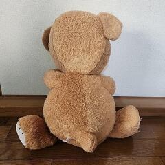 くまのぬいぐるみの画像