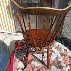 キツツキ　椅子　③の画像