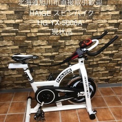 旭川市直接取引歓迎 ペットあり室内保管 HAIGE ハイガー ス...