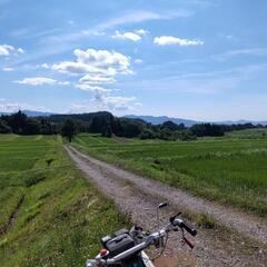 田んぼの法面草刈作業