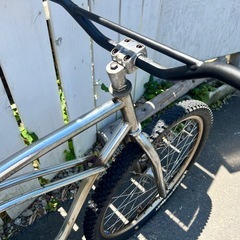 クランカー カスタム ビーチクルーザーの画像