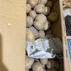 野菜   決まりました