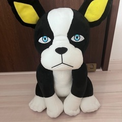 【美品】ジョジョの奇妙な冒険　イギー　