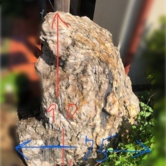 【掘り起こして下さる方、貰って下さい(有料対応希望の場合応相談)】庭石　玄関　アプローチ　瑪瑙珪化木(めのうけいかぼく) 踏み石　新潟県産　の画像