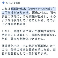 【掘り起こして下さる方、貰って下さい(有料対応希望の場合応相談)】庭石　玄関　アプローチ　瑪瑙珪化木(めのうけいかぼく) 踏み石　新潟県産　の画像