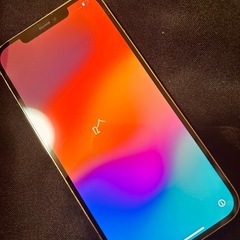 iPhone12Pro MAXの画像